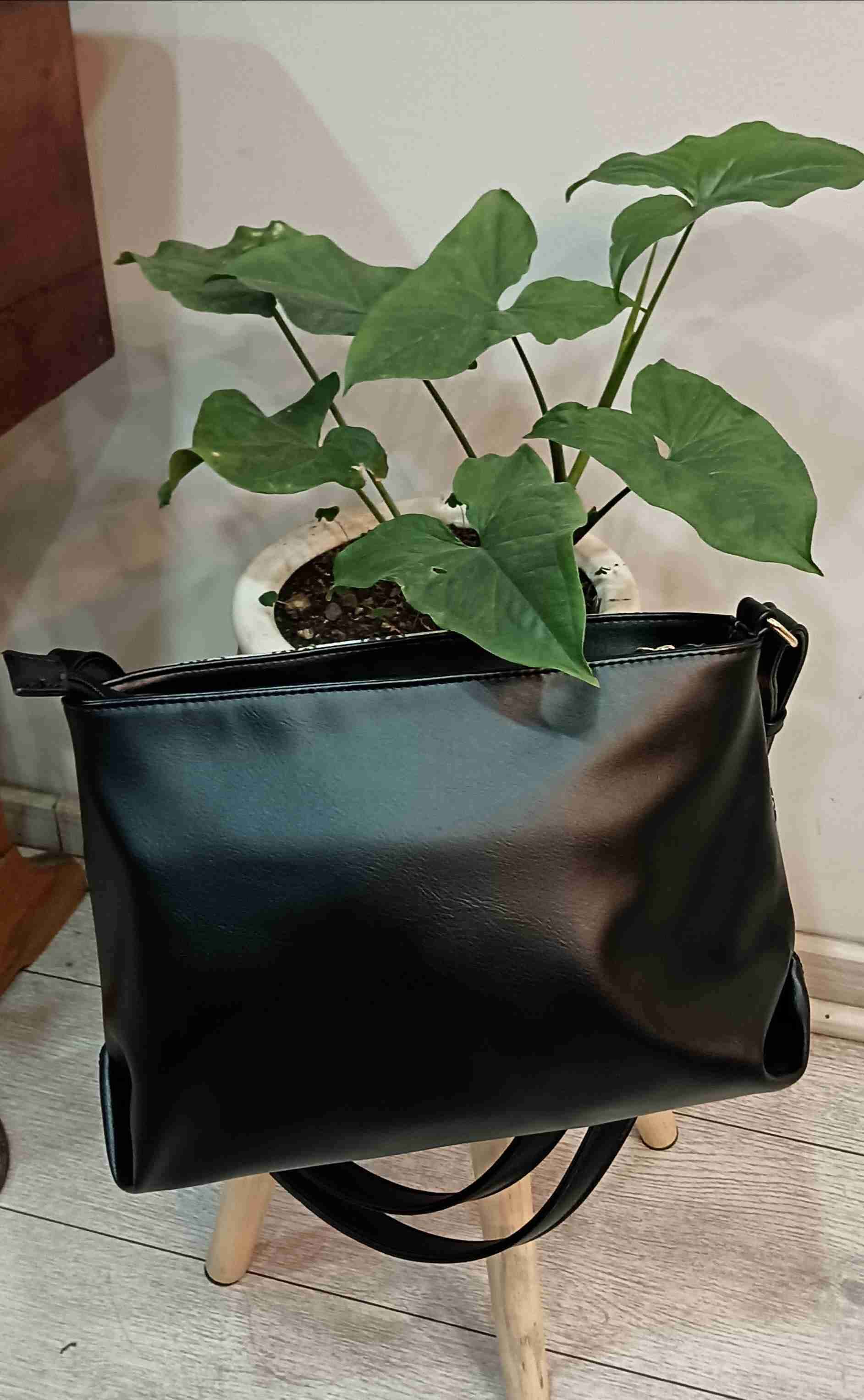 Cartera Secret Monograma gris/negro - miniatura 3