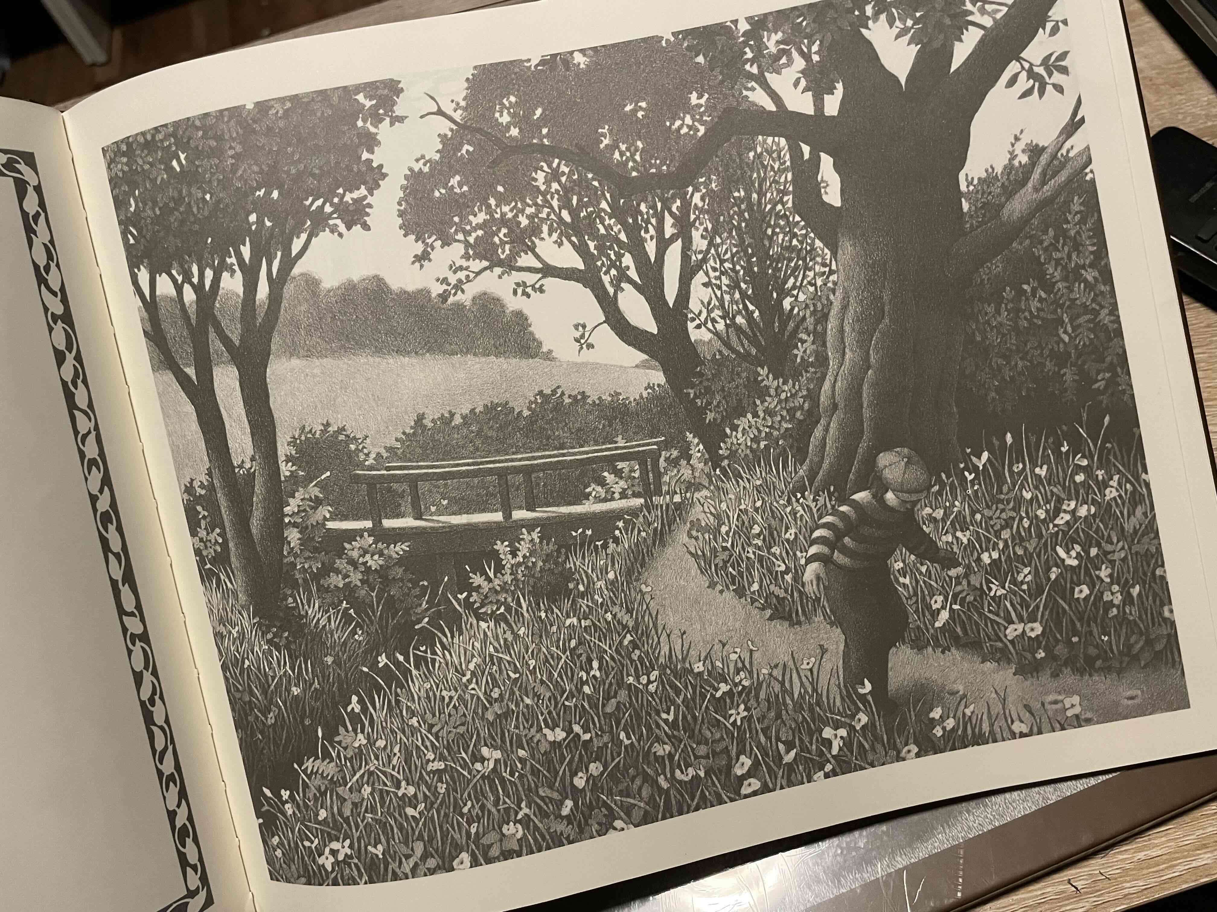 Libro 'El Jardín de Abdul Gasazi' - miniatura 3