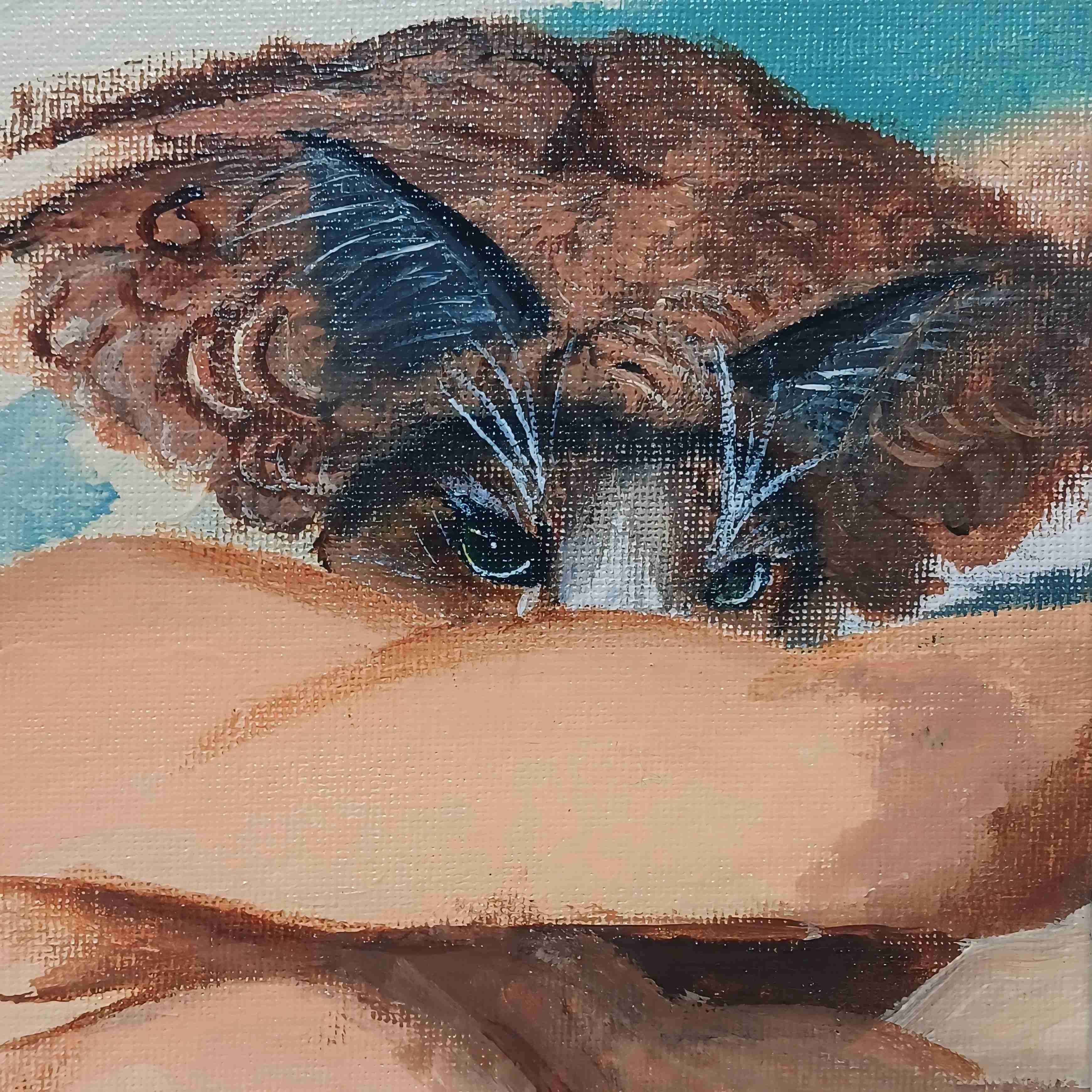 Cuadro de arte lucifer y gato