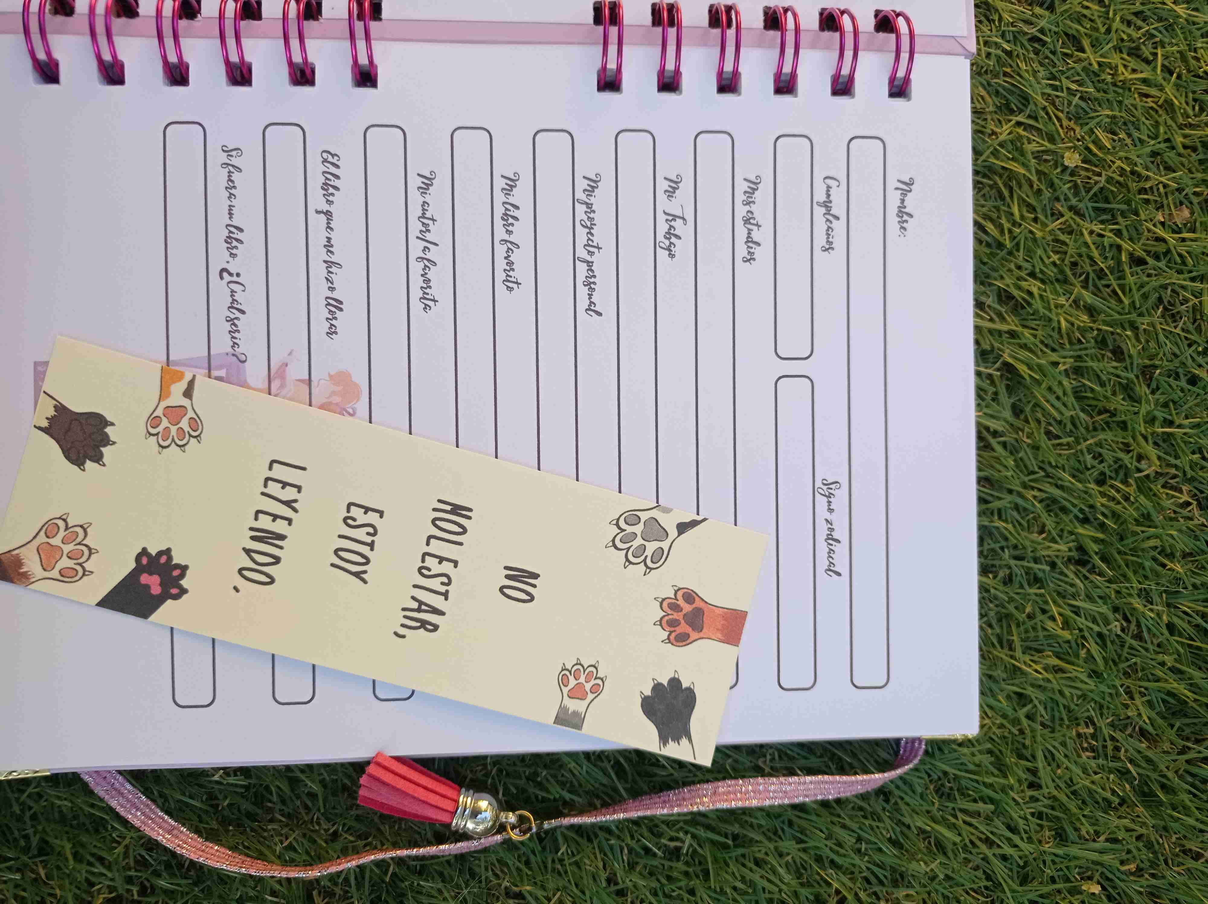 Diario de lecturas - miniatura 6