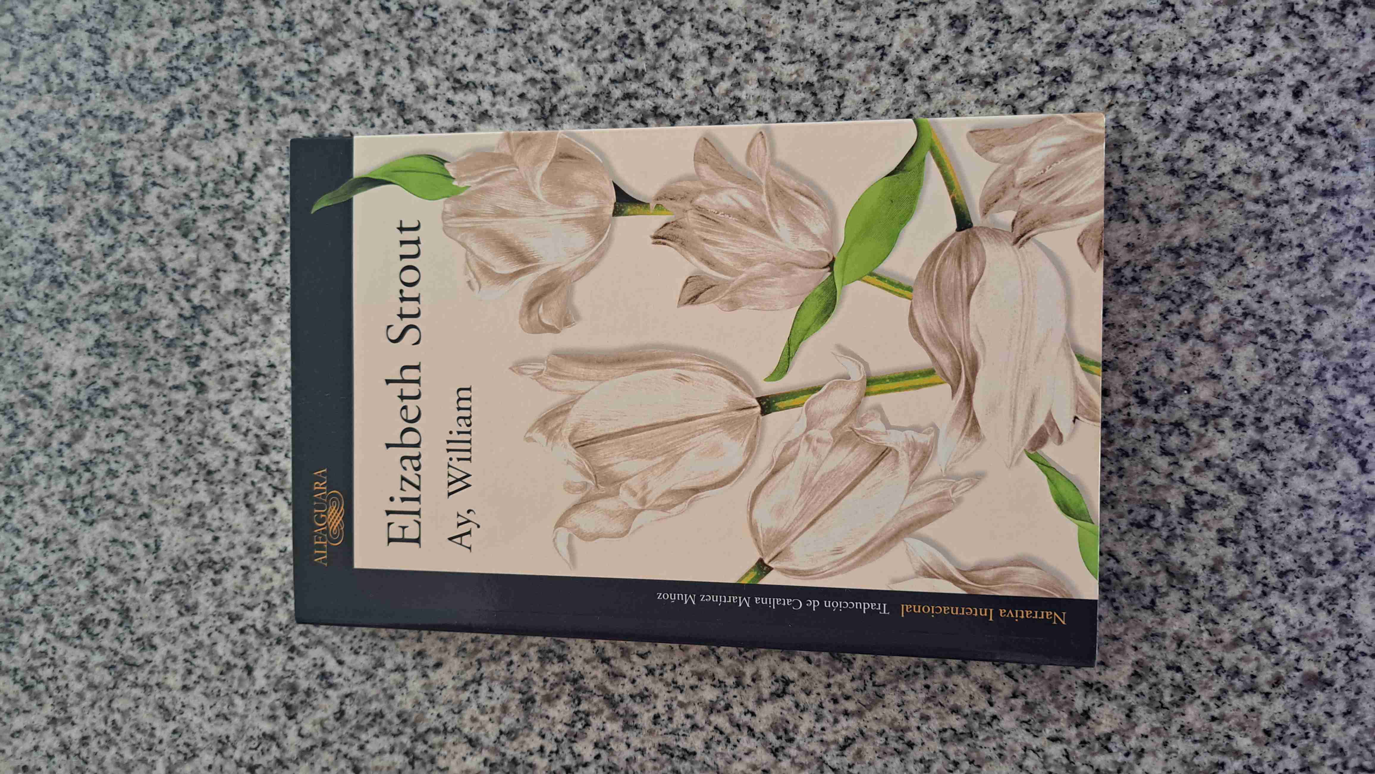 Libro 'Ay, William' Elizabeth Strout