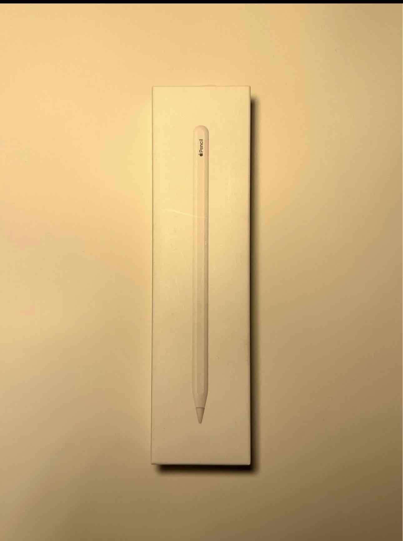 Lápiz digital Apple Pencil blanco - miniatura 2