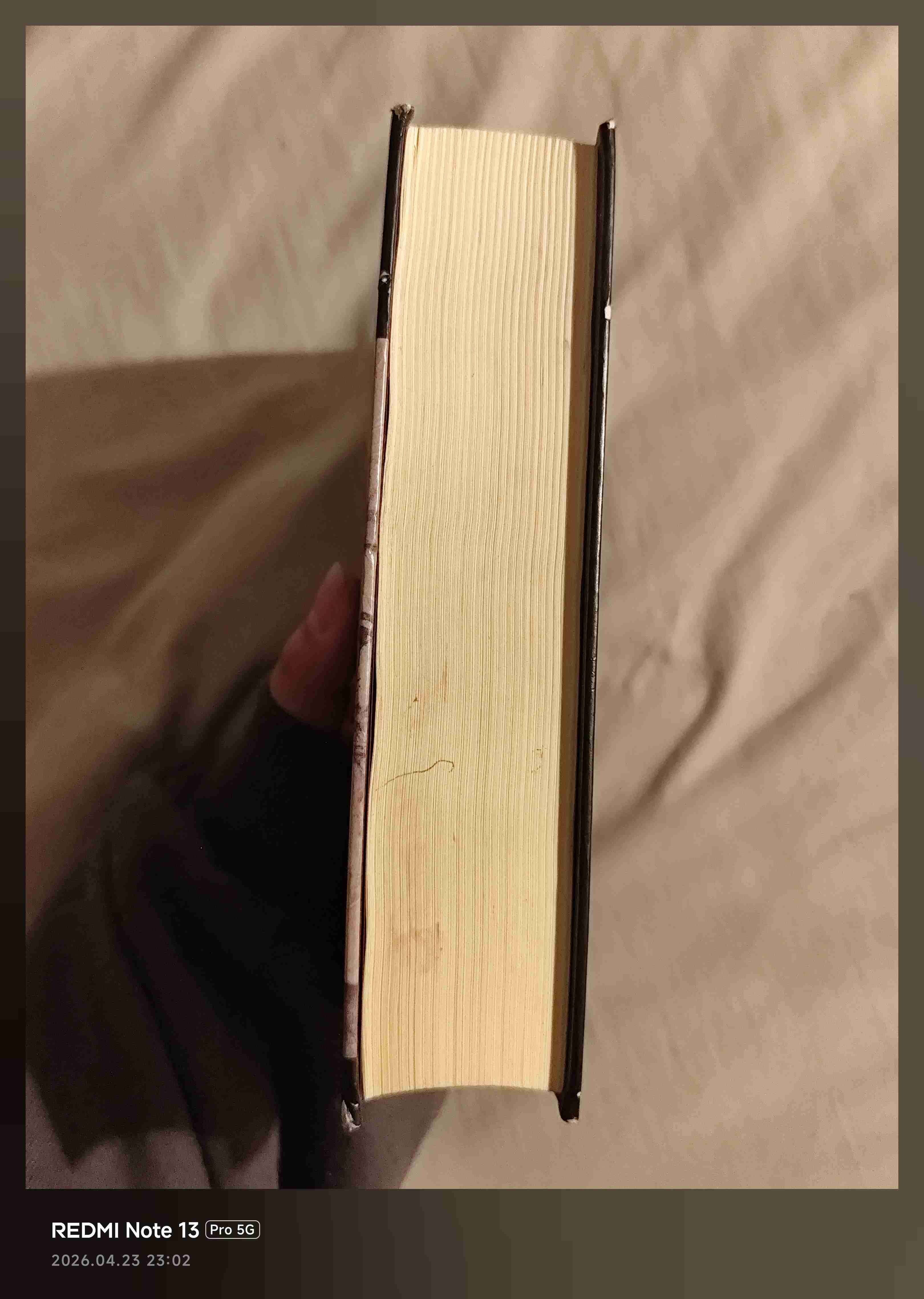 La Maldición de la Momia 𓁹𓆣 - miniatura 2