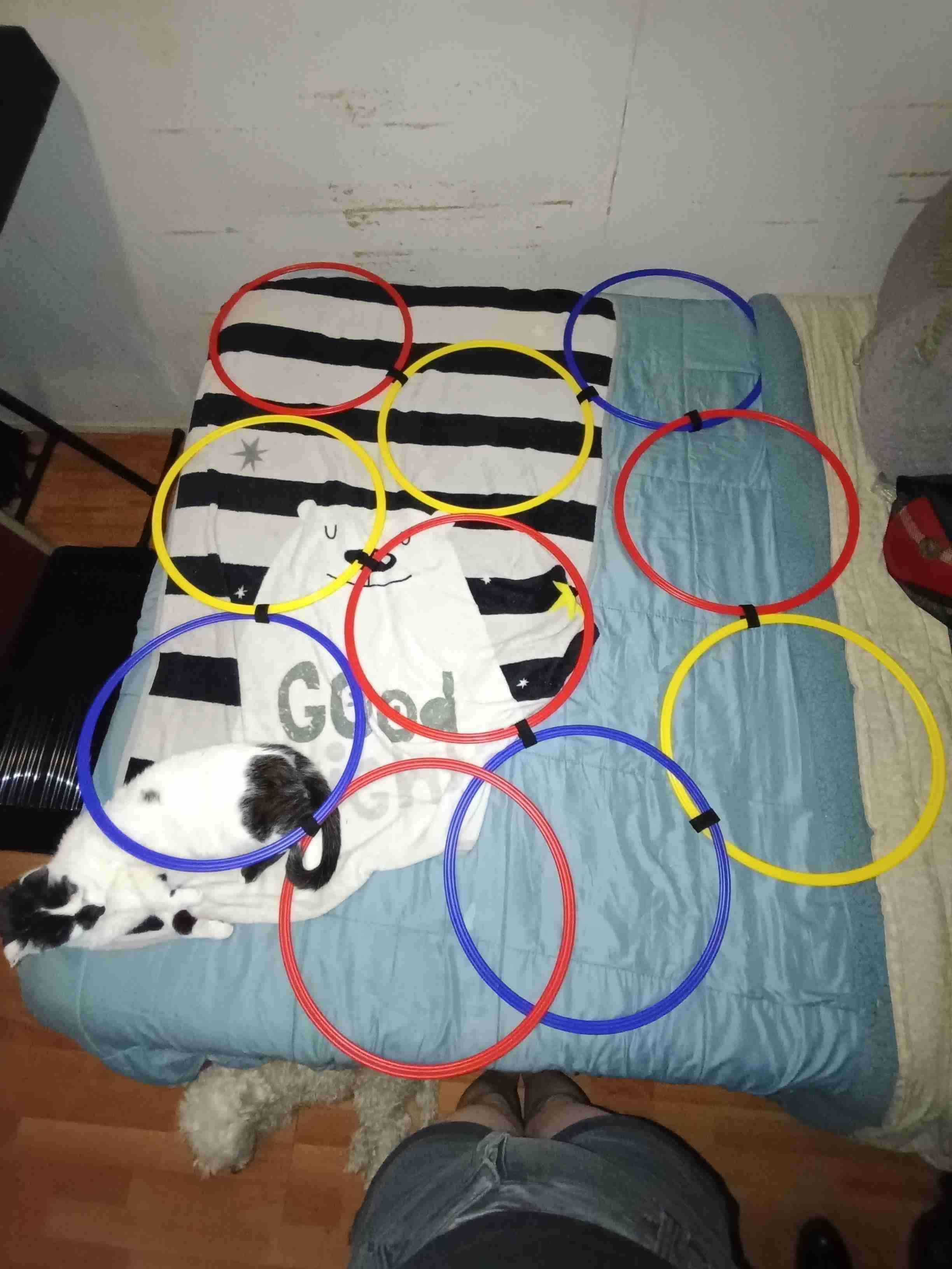 Juego de aros de entrenamiento - miniatura 4