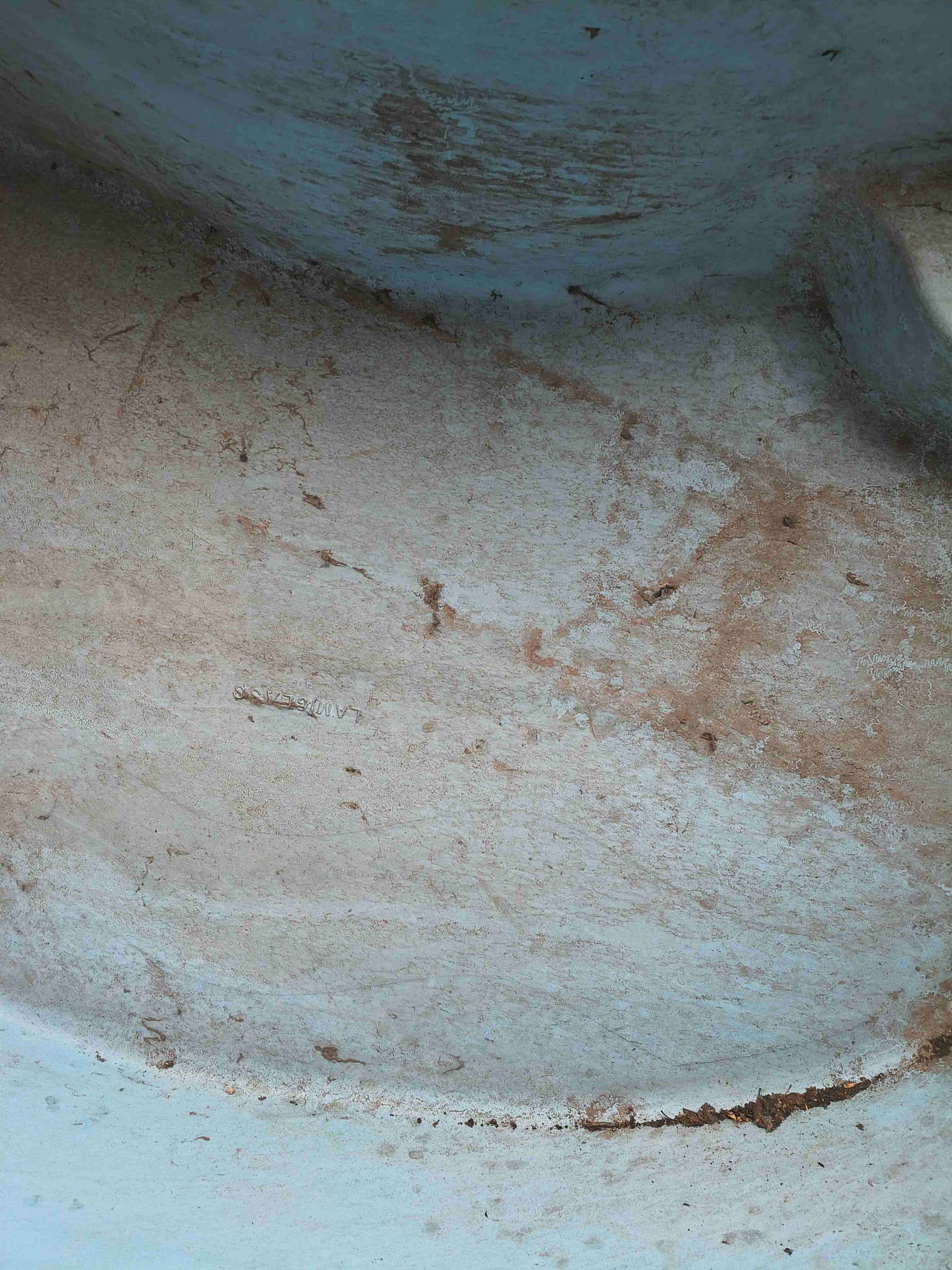 Piscina de riñón - miniatura 3