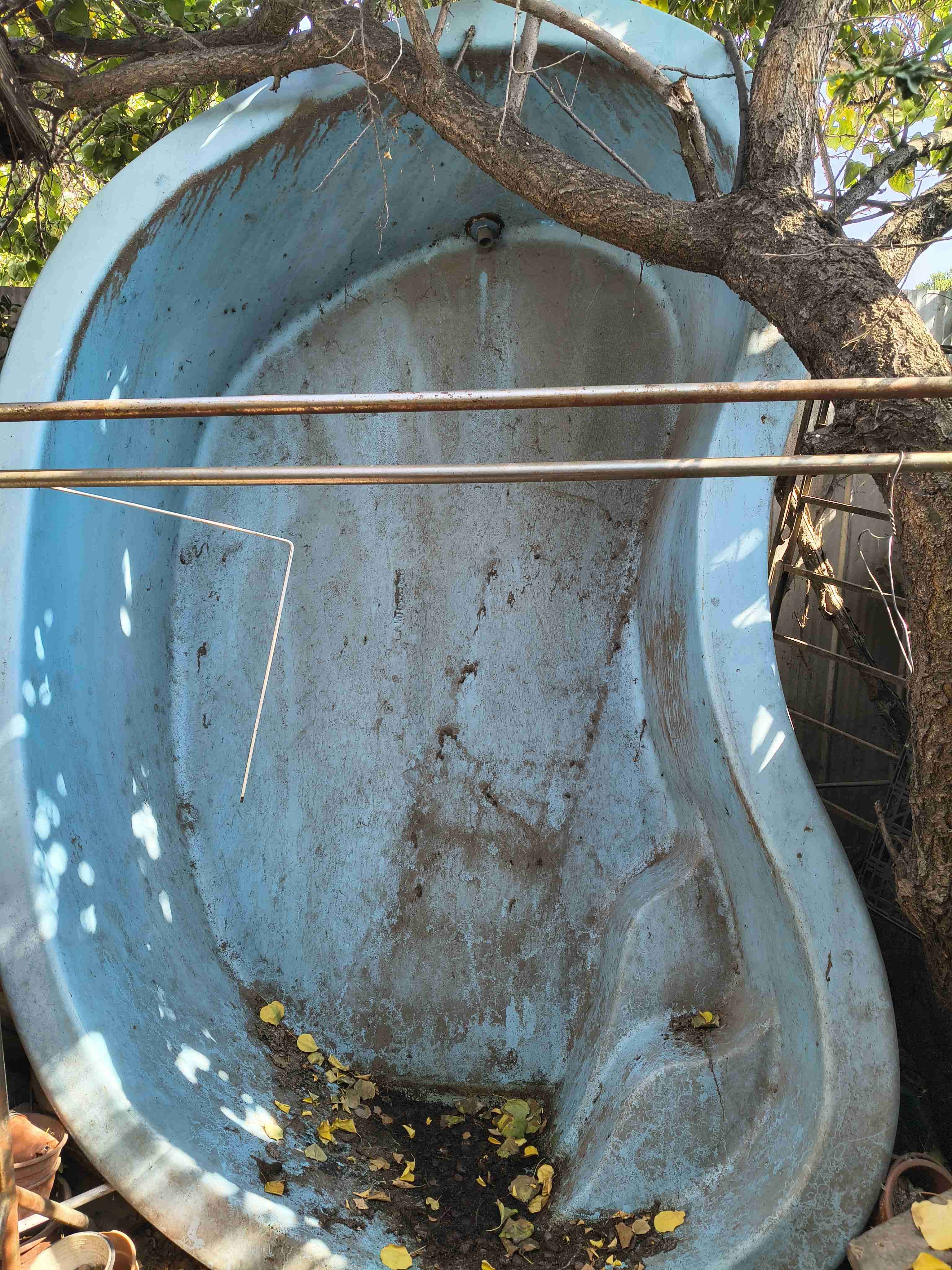 Piscina de riñón - miniatura 4