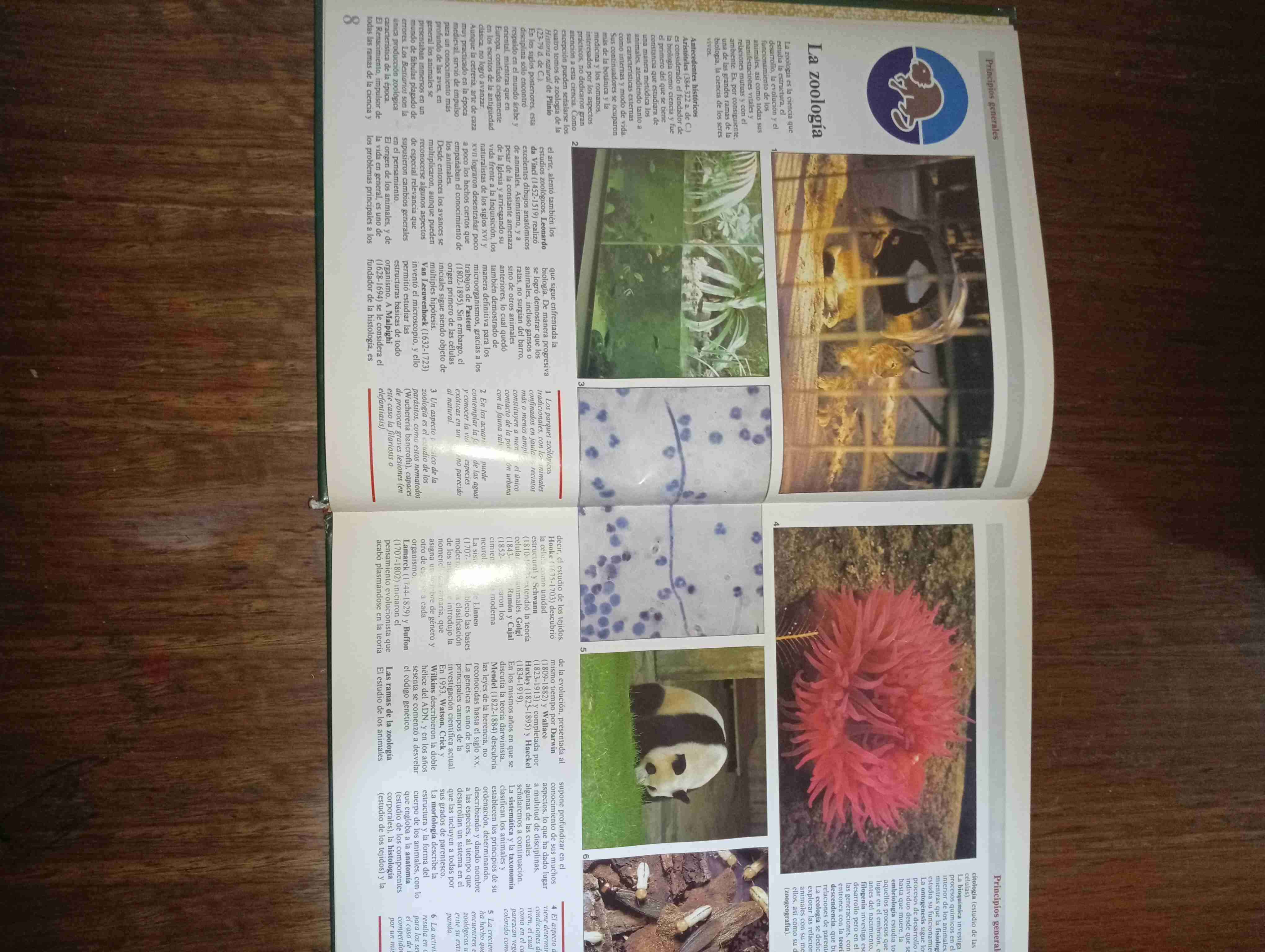 Libro Zoología usado - miniatura 2