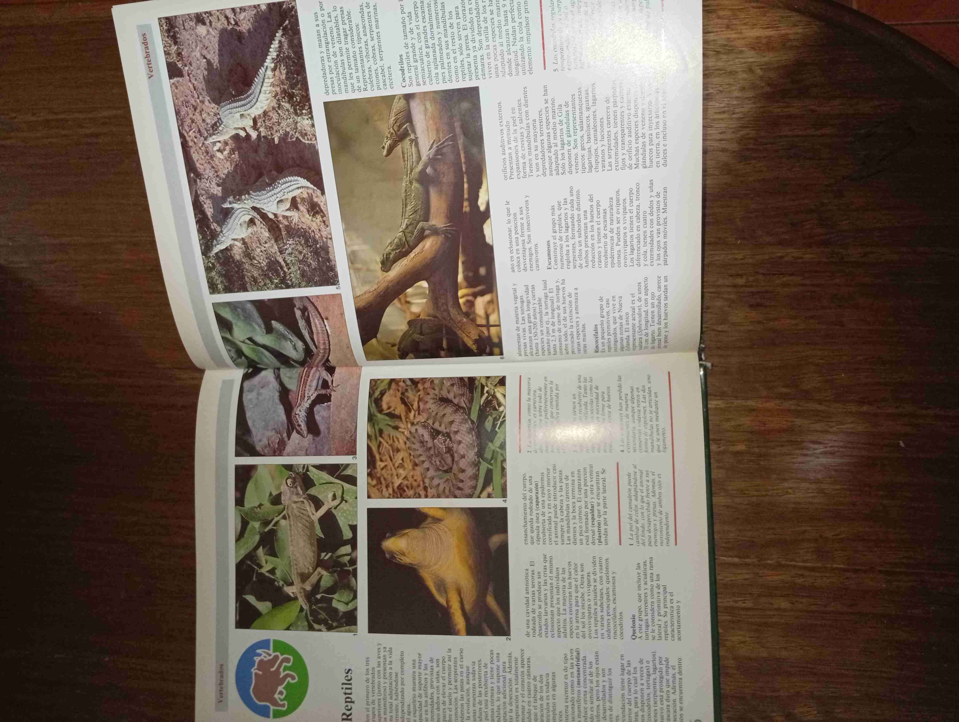 Libro Zoología usado - miniatura 5