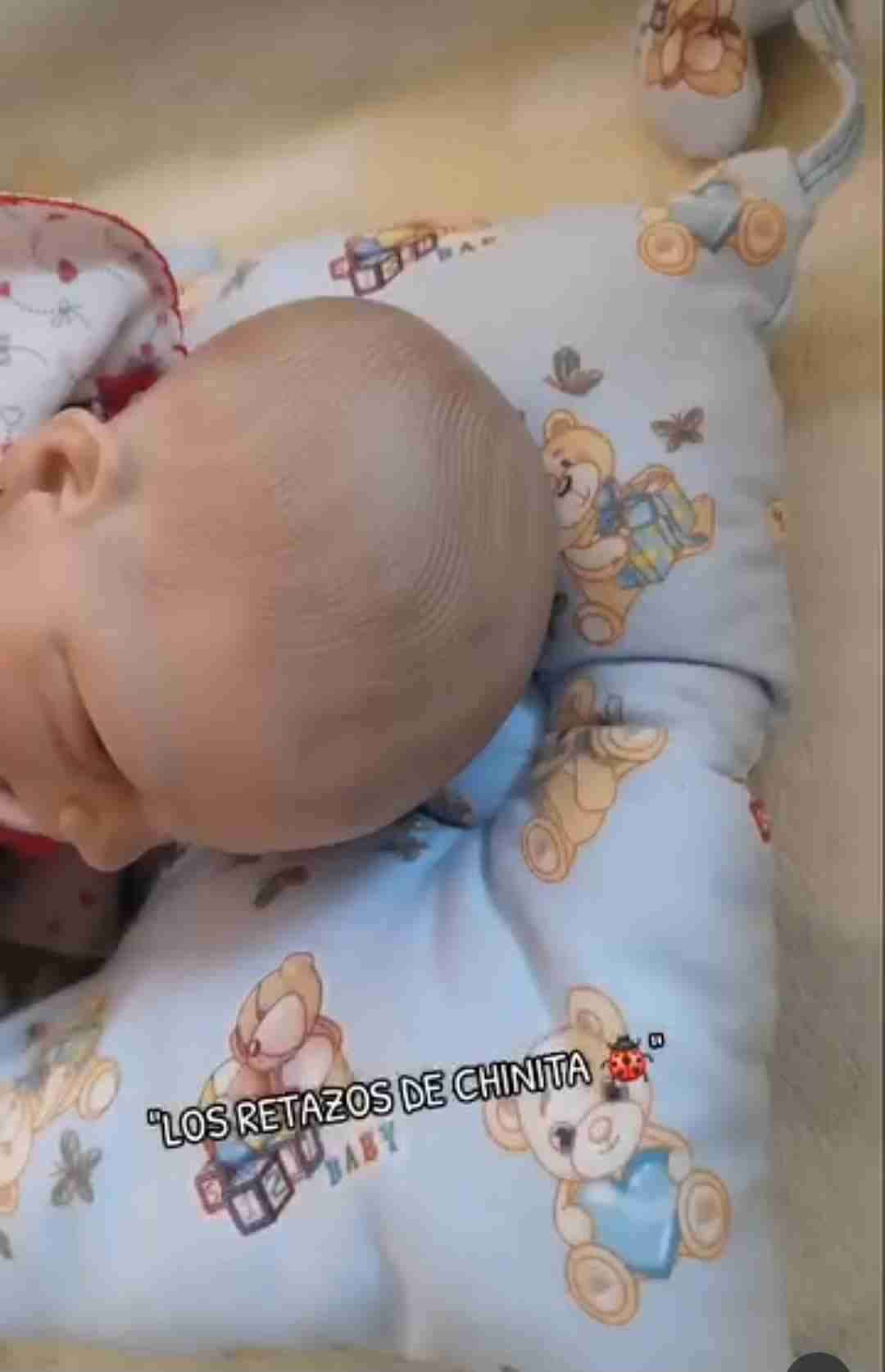 Cojín Nido Contenedor bebé 0 a 6meses aprox. - miniatura 3