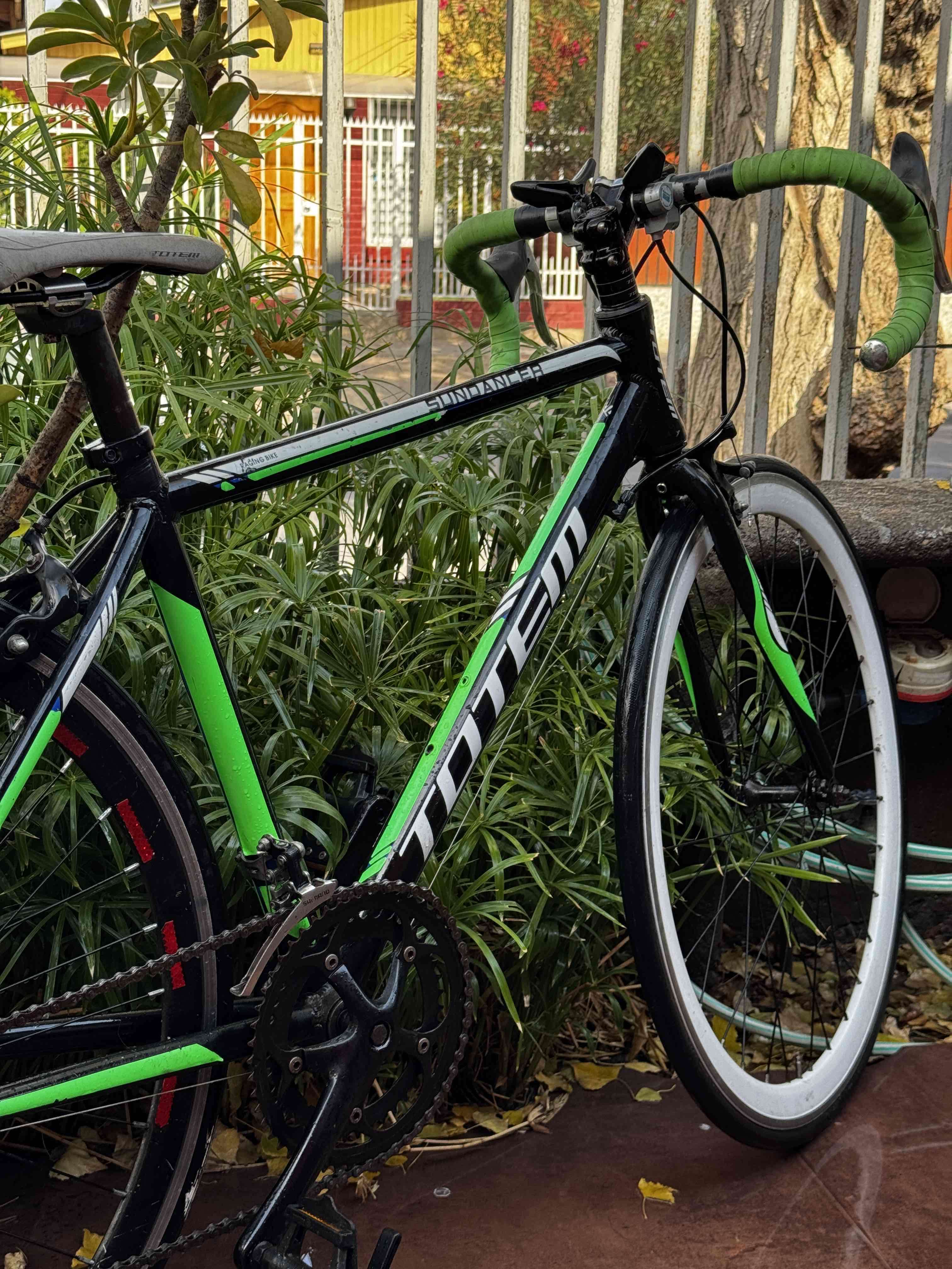 Bicicleta de ruta tótem